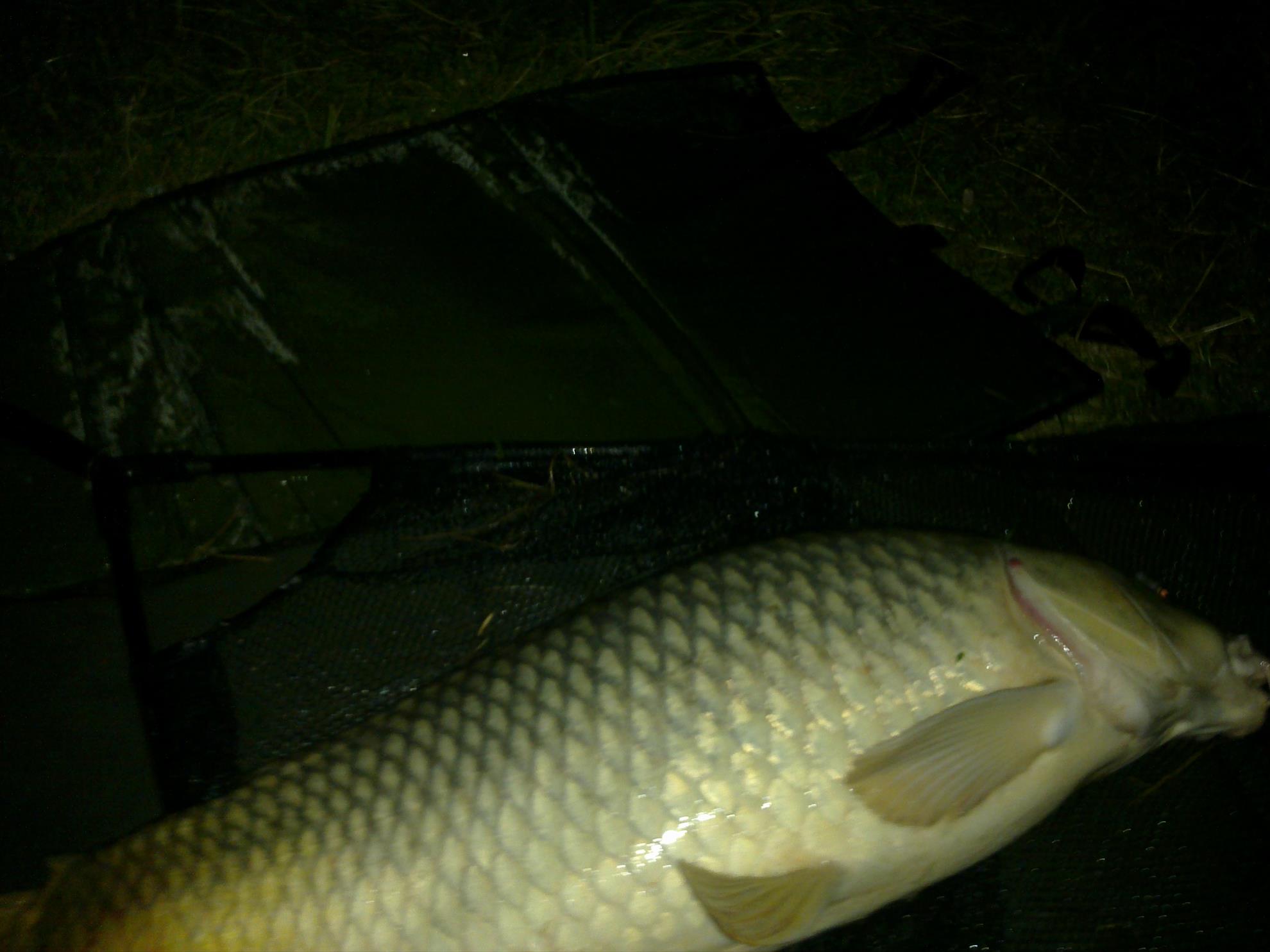 moara vlasiei 2012 - 15092013567.jpg